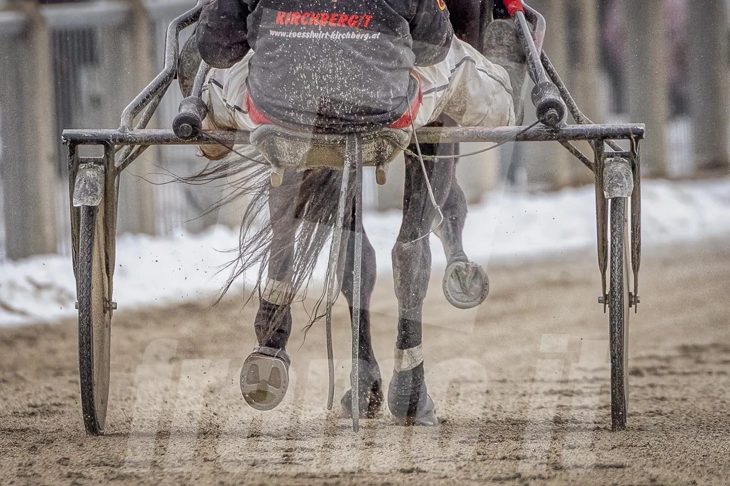 Trabrennpferd mit Trabrennfahrer auf der Pferderennbahn Wien Krieau bei winterlichen Bedingungen.