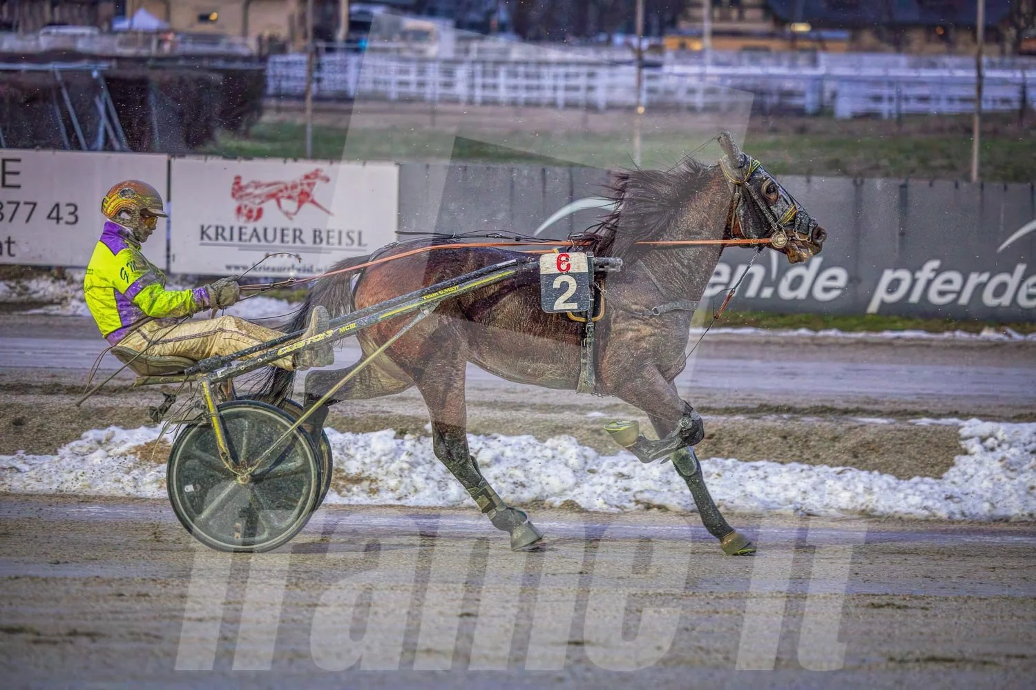 Pferderennbahn im Winter mit einem Pferd und einem Trabrennfahrer bei einer Rennveranstaltung