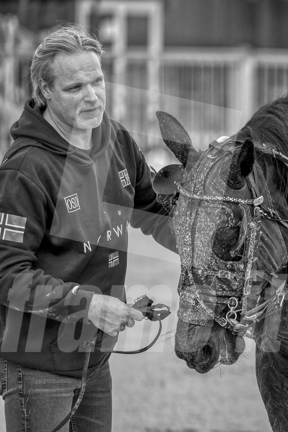 Mann mit Hoodie neben einem Pferd, das mit Schmutz bespritzt ist.