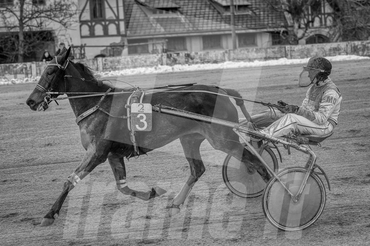Schwarz-weiß-Foto eines Pferderennens mit einem Trabrennpferd und einem Fahrer, im Hintergrund Häuser und Bäume.