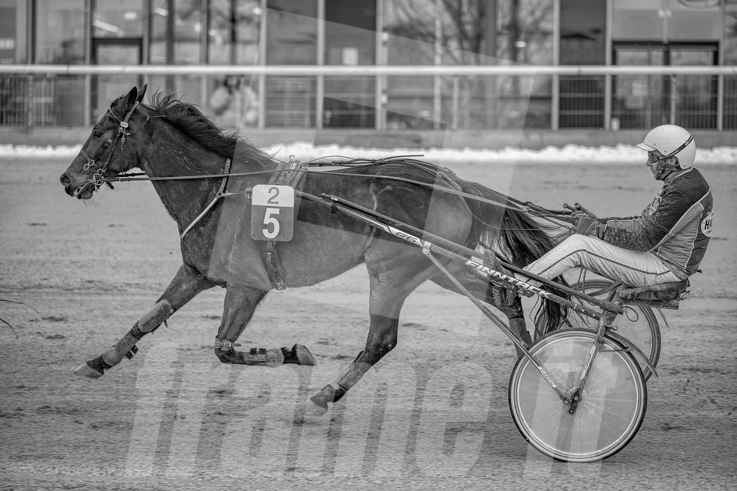 Ein Pferd mit einem Pferdesportfahrer im Sulky während eines Rennens auf einer Rennbahn.