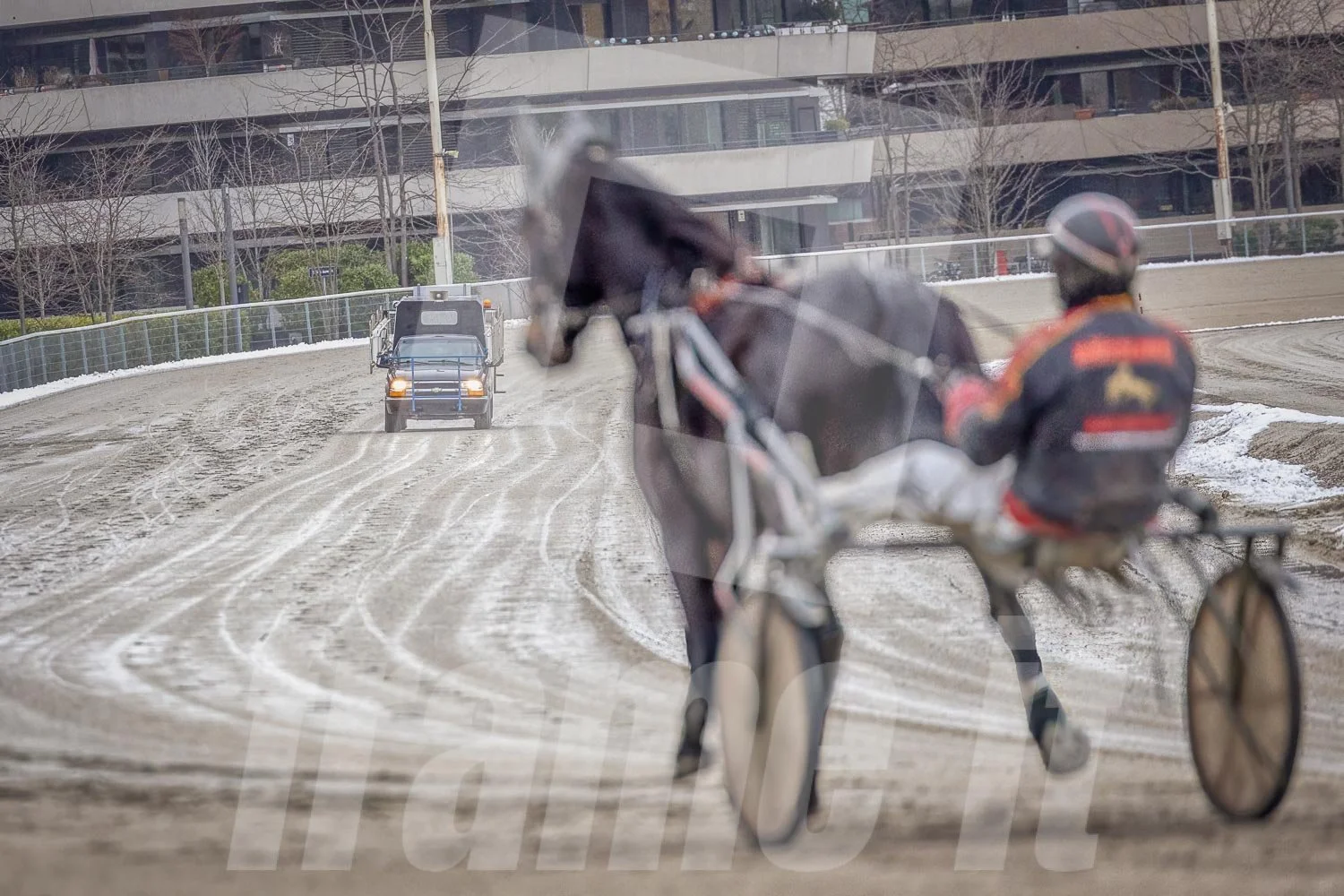 Trabrennpferd mit Trabrennfahrer auf der Pferderennbahn Wien Krieau bei winterlichen Bedingungen.