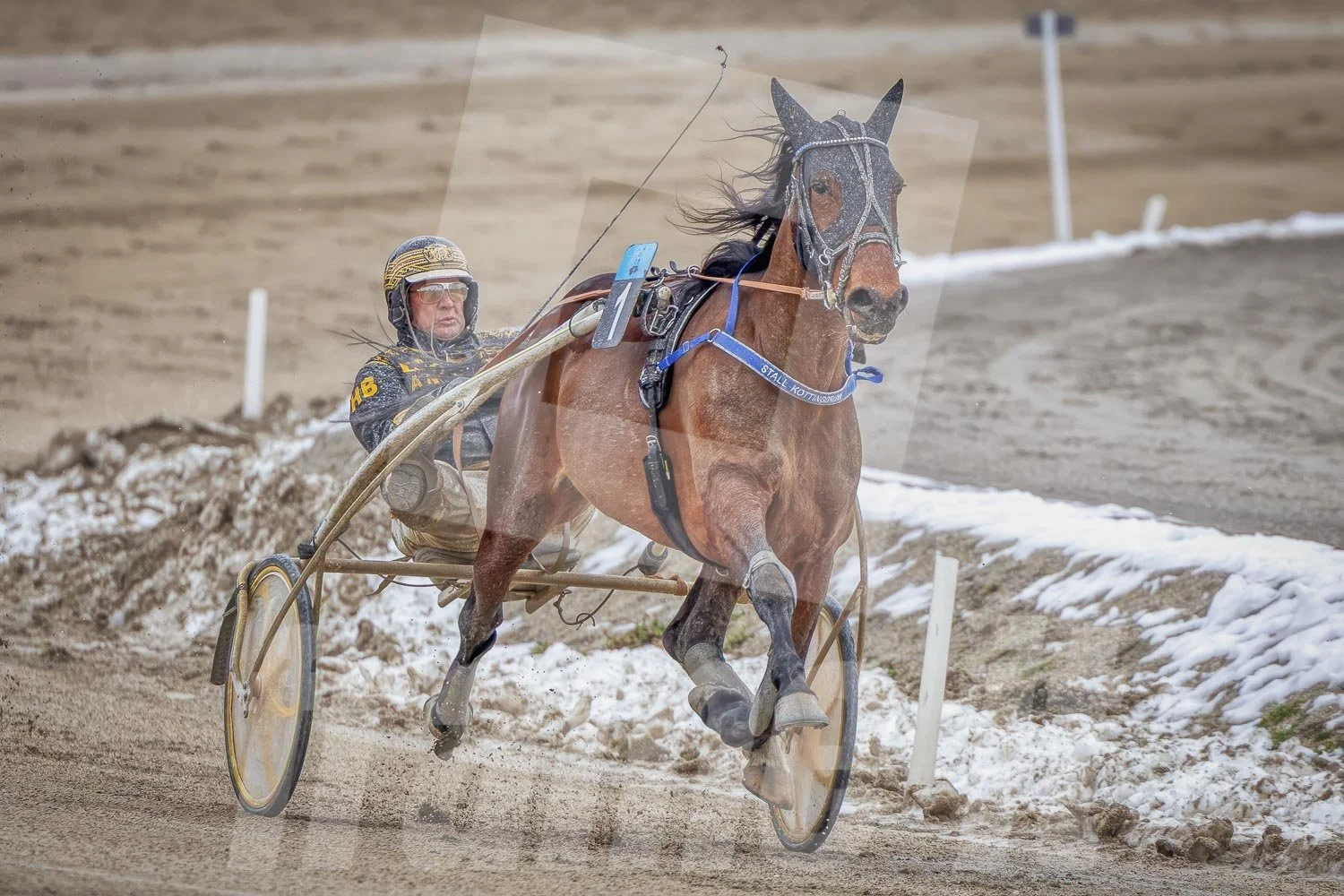 Pferderennen auf einem Sand- und Schneefeld, mit einem Fahrer.