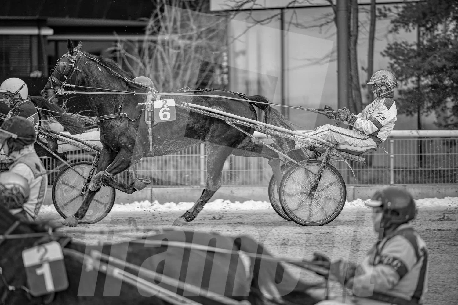 Pferderennen auf einer Trabrennbahnbahn, in schwarz-weiß.