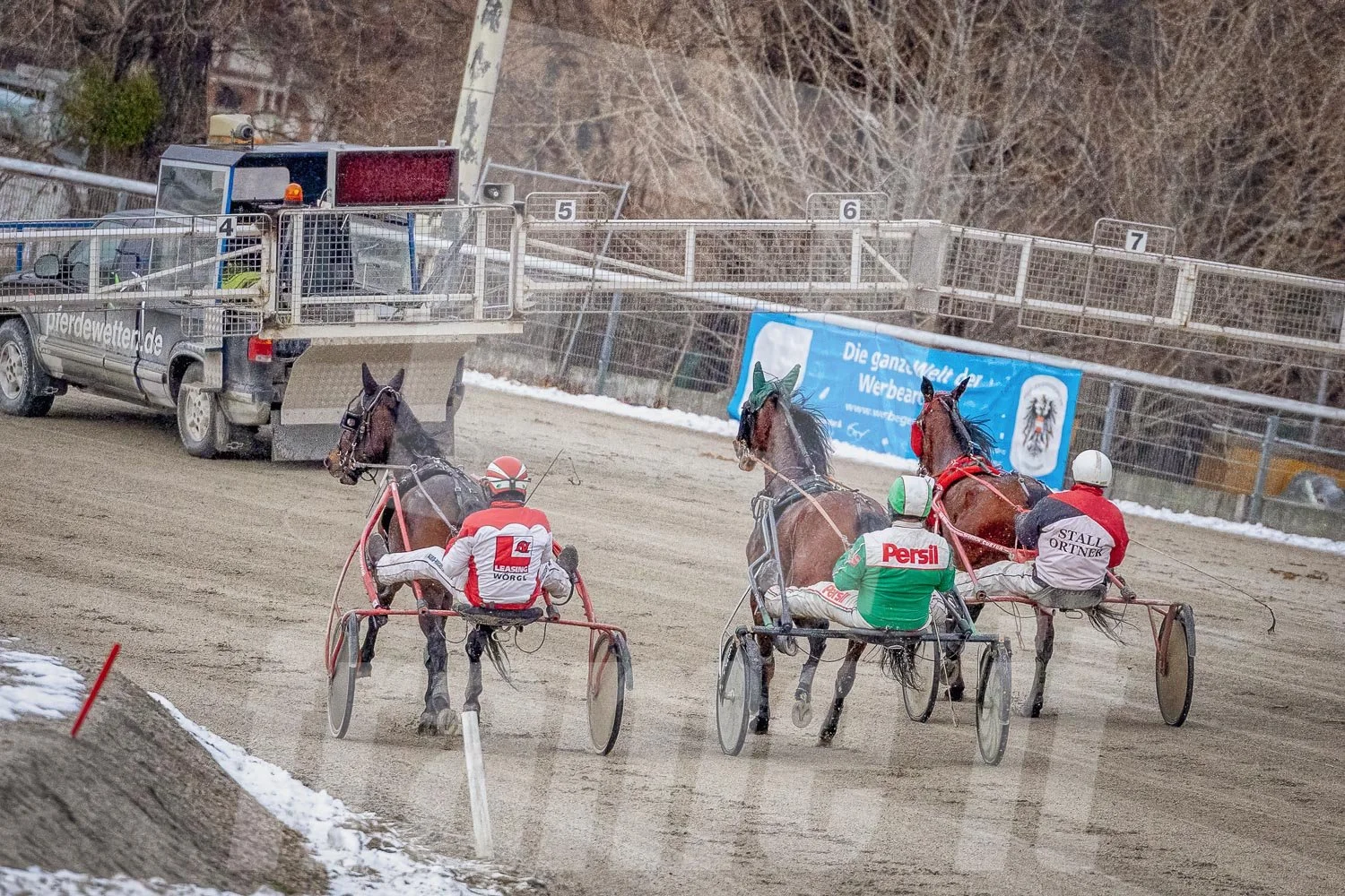 Pferderennen Startphase in Wien Krieau.