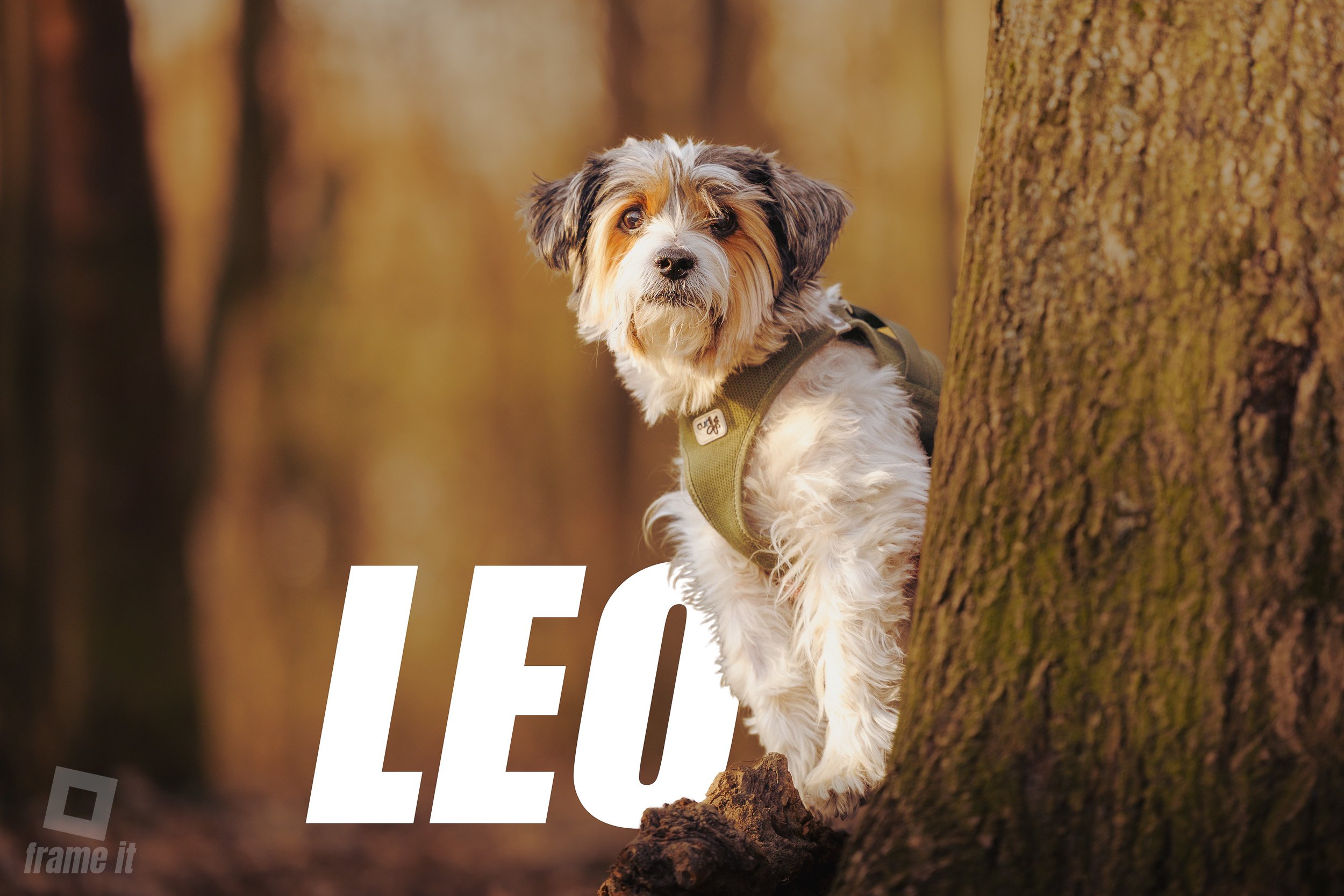 Outdoorshooting mit LEO