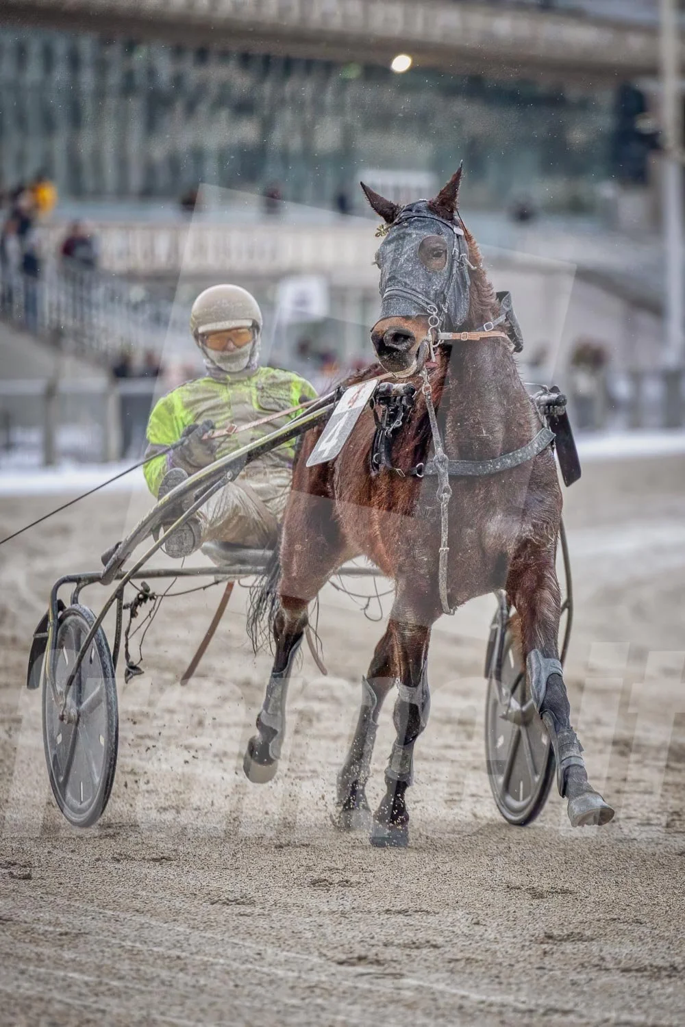 Trabrennpark Krieau in Wien.