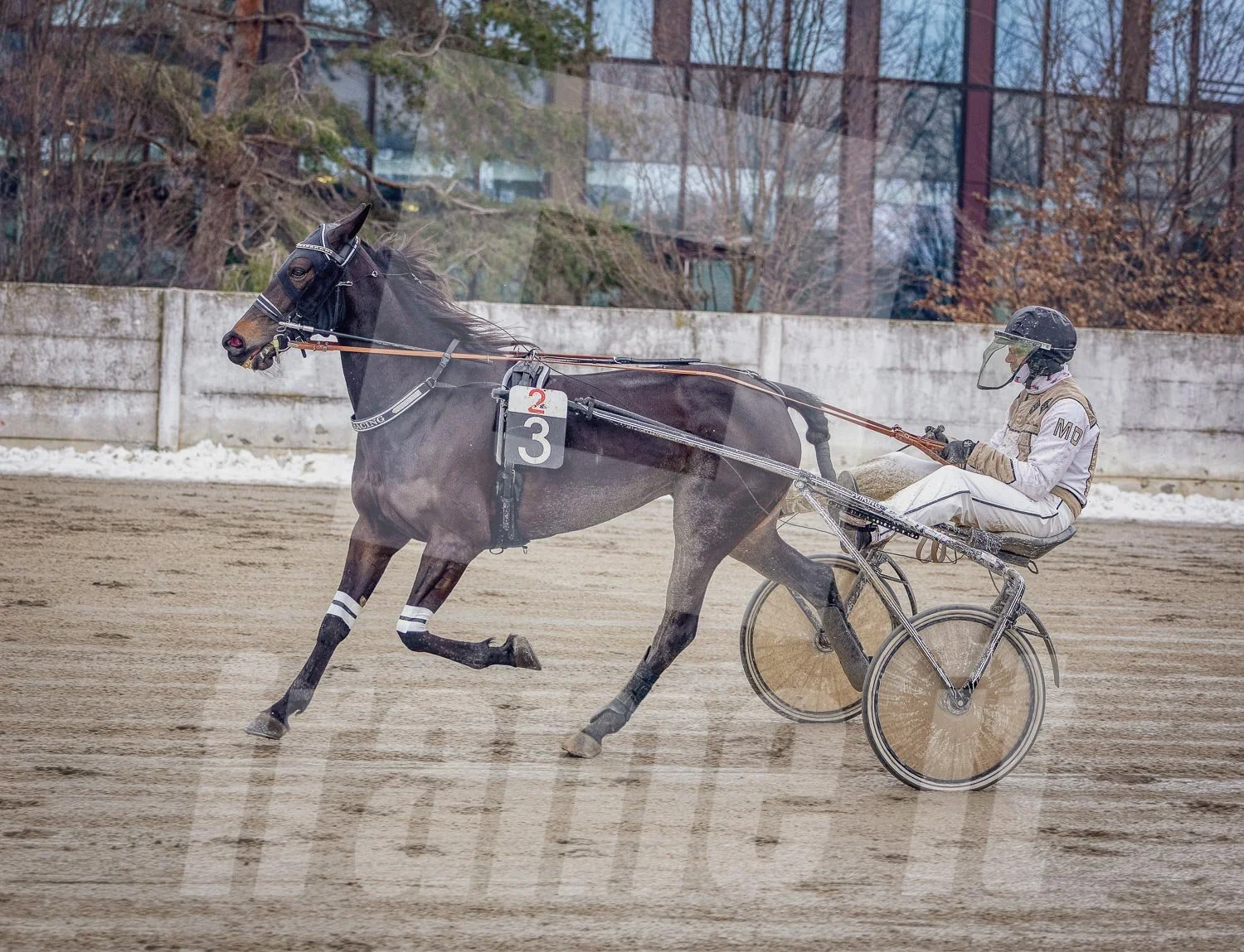 Trabrennpark Wien Krieau mit Trabrennpferd und Fahrer.