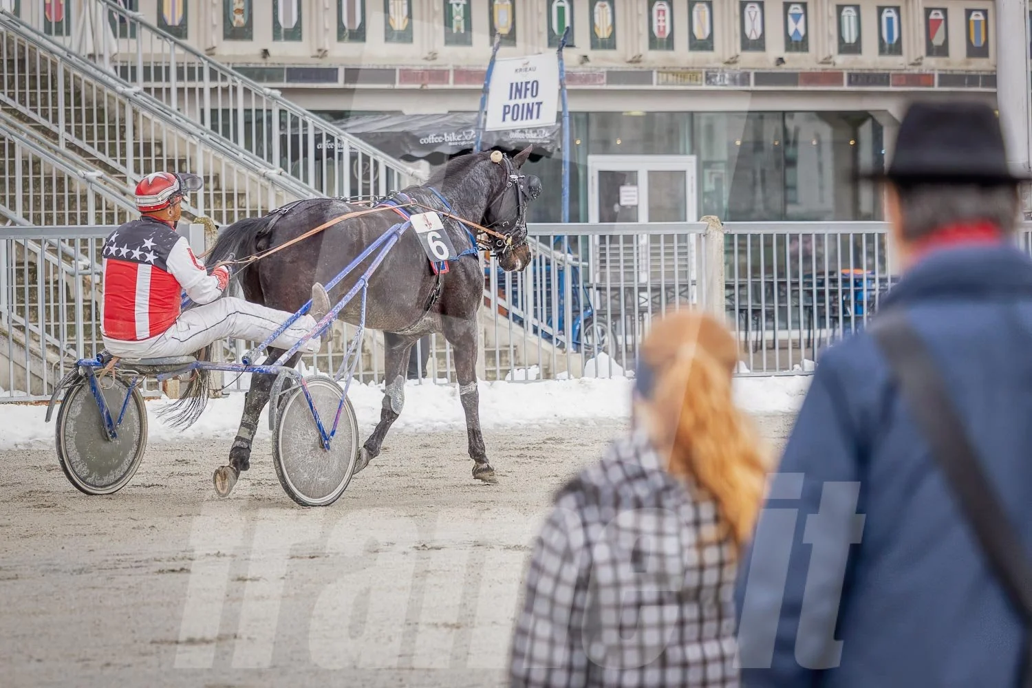 Pferderennen auf einer Rennbahn im Winter, mit Zuschauern im Vordergrund und einem Trabrennpferd.