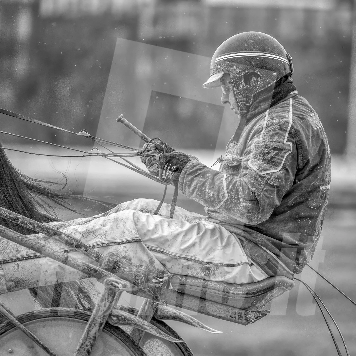 Trabrennfahrer in einer Großaufnahe in Wien Krieau.