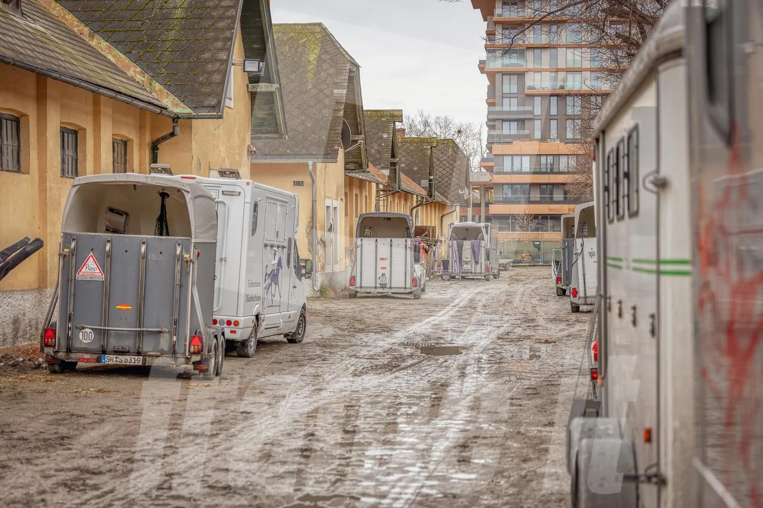 Stallungen in Wien Krieau.