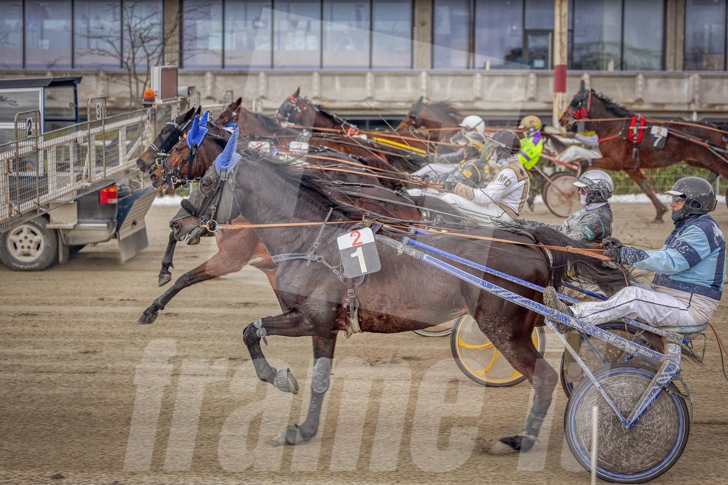 Trabrennen mit mehreren Trabrennpferden und Fahrern auf der Trabrennbahn in Wien Krieau. Startphase hinter dem Startwagen.
