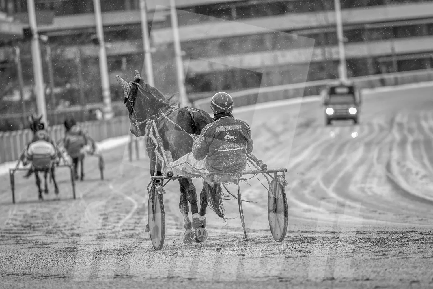 Schwarz-weiss Foto von Trabrennpferde, mit Trabrennfahrer auf der Trabrennbahn in der Wiener Krieau kurz vor dem Start, mit dem Startwagen im Hintergrund.