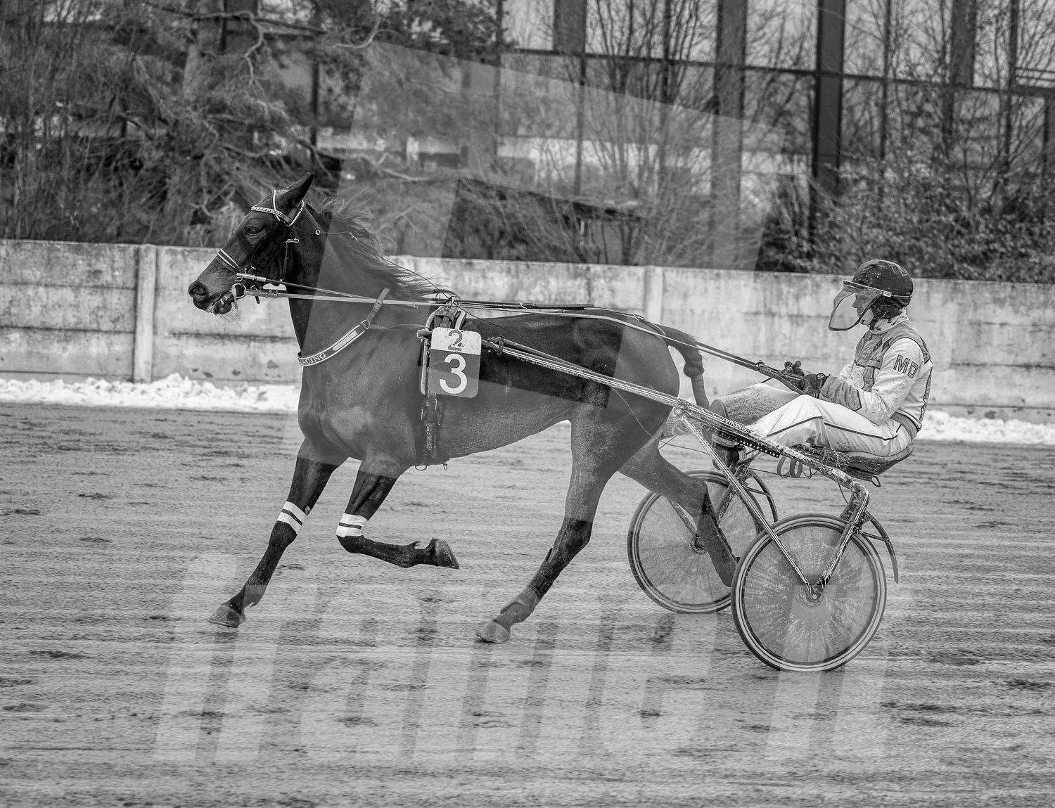 Pferderennen mit einem Pferd und einem Trabrennfahrer auf der Rennstrecke.