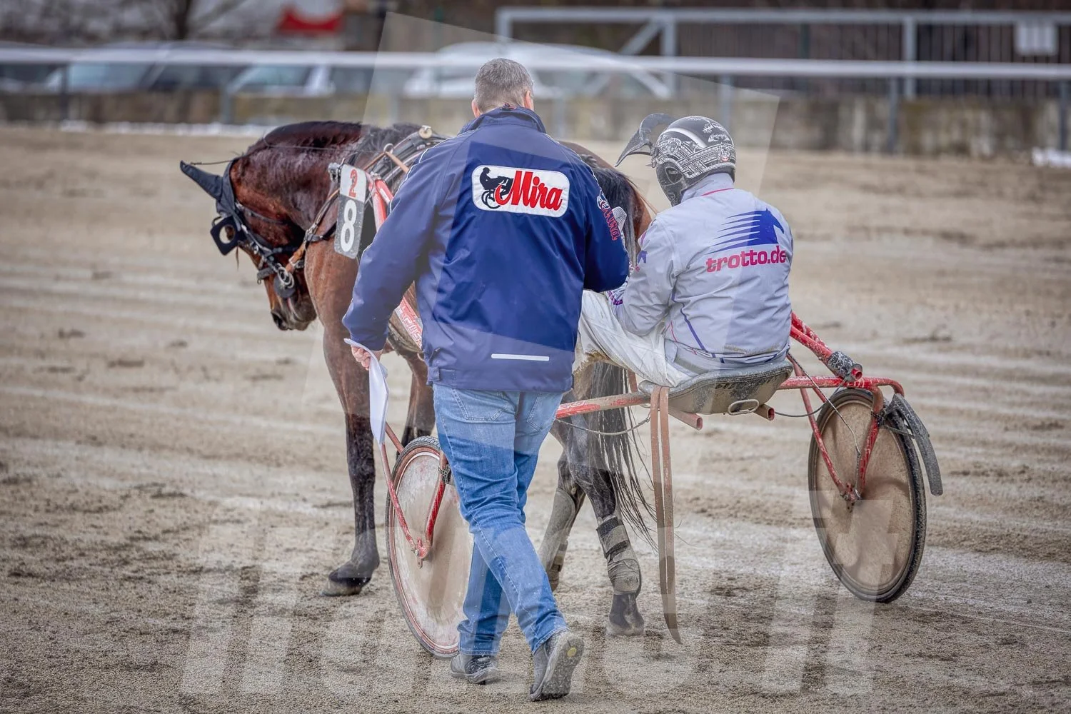 Interview auf der Trabrennbahn in Wien Krieau.
