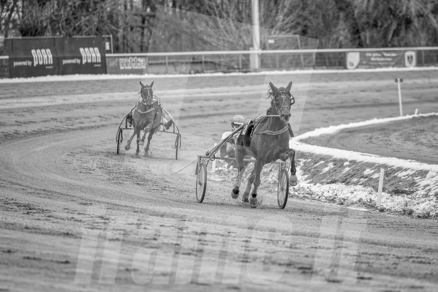 Zwei Pferde-Bahnenrennen auf einer verschneiten Rennbahn, schwarz-weißes Bild.
