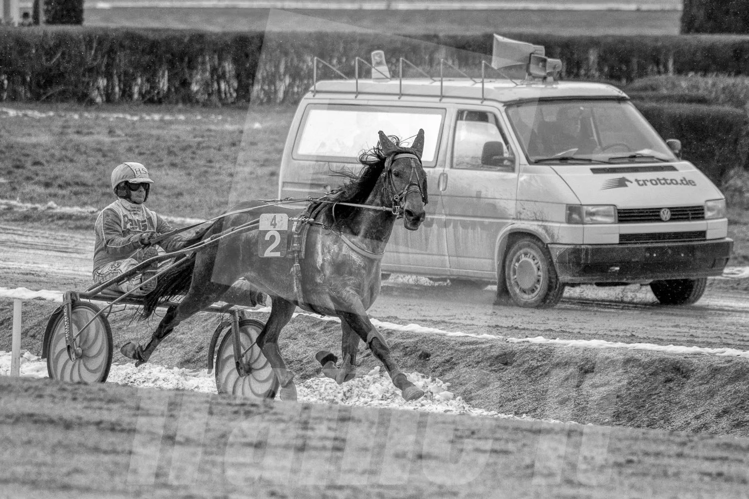 Ein Trabrennfahrer und ein Trabrennpferd auf der Trabrennbahn in Wien Krieau. Die Szene ist schwarz-weiß.