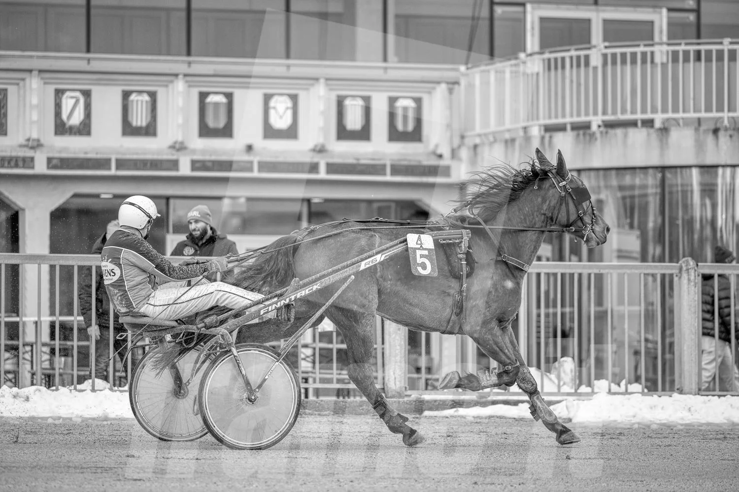 Trabrennpferd mit Trabrennfahrer auf der Trabrennbahn der Wiener Krieau, während im Hintergrund zwei Menschen die Rennen beobachten.