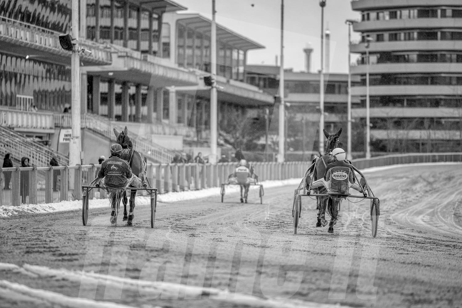 Schwarz-weiss Foto eines Trabrennpferdes, mit einem Trabrennfahrer auf der Trabrennbahn in der Wiener Krieau, im Hintergrund sind moderne Gebäude und die Tribüne zu sehen.