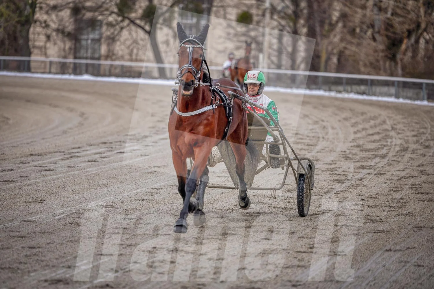 Trabrennpferd mit Trabrennfahrer auf der Pferderennbahn Wien Krieau bei winterlichen Bedingungen.