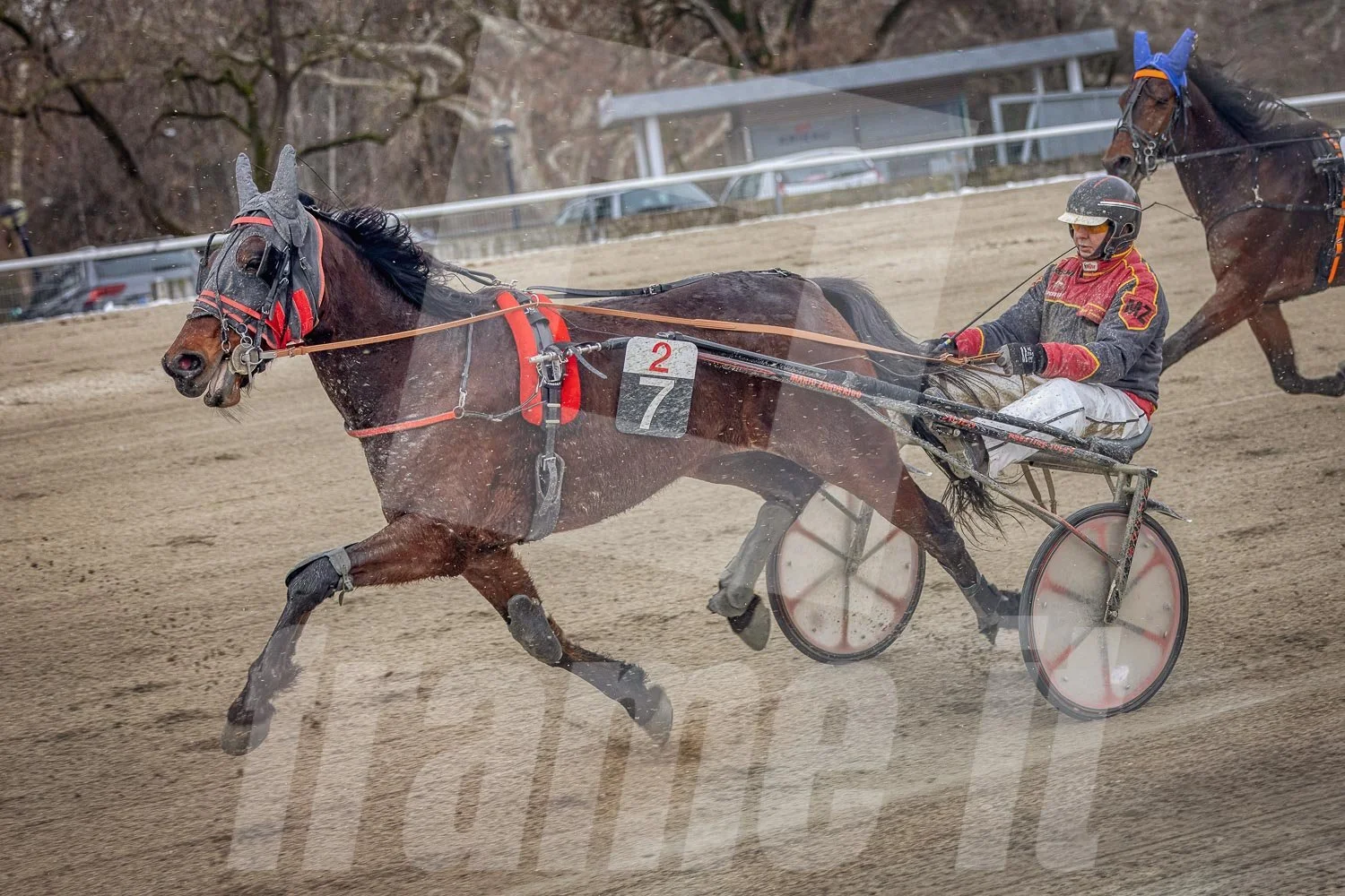 Pferderennen auf der Trabrennbahn.