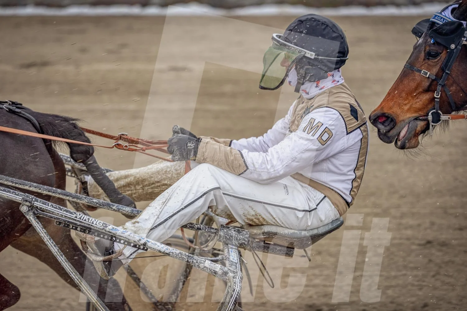 Pferderennen mit einem Rennfahrer auf einem staubigen Rennbahn.