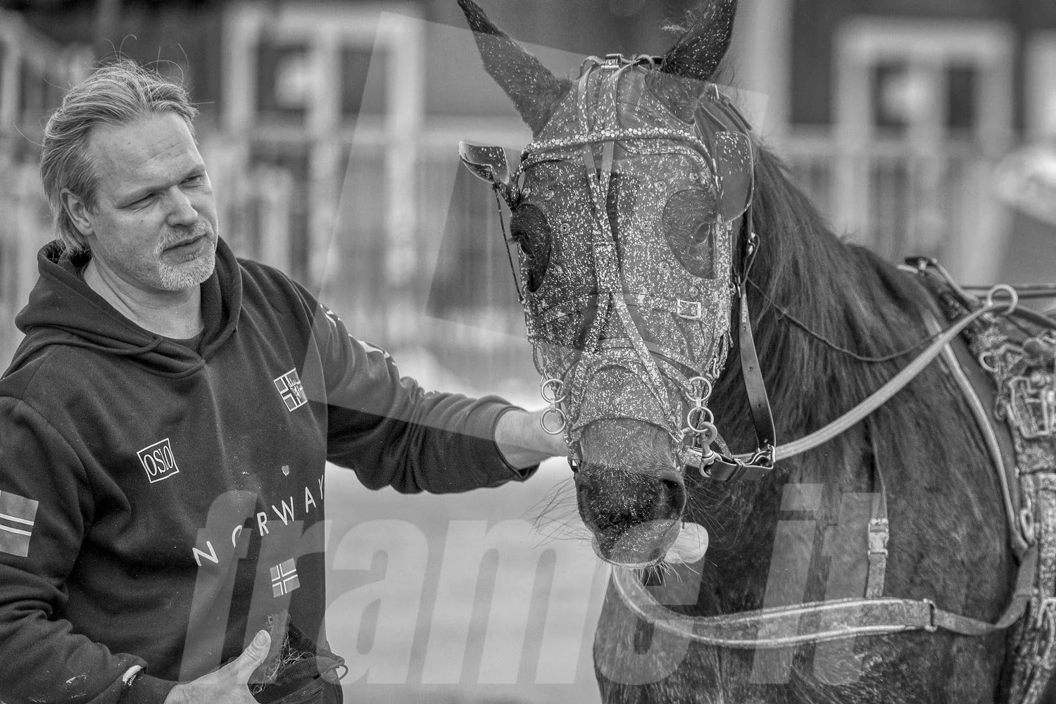 Ein Mann im Hoodie streichelt ein Pferd, das mit einer Schutzmaske und Geschirren ausgestattet ist, im Freien.
