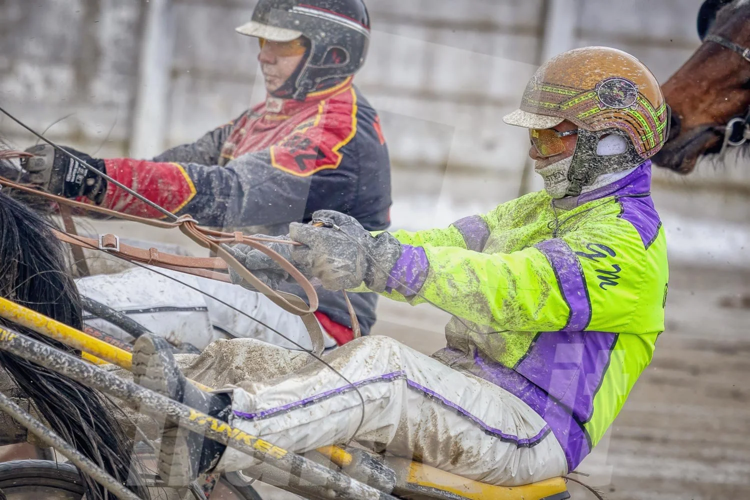 Zwei Trabrennfahrer, einer davon ist Gerhard Mayr.