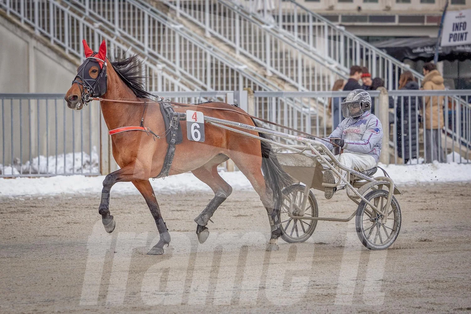 Trabrennpark Wien Krieau mit Trabrennpferd und Tribüne im Hintergrund.