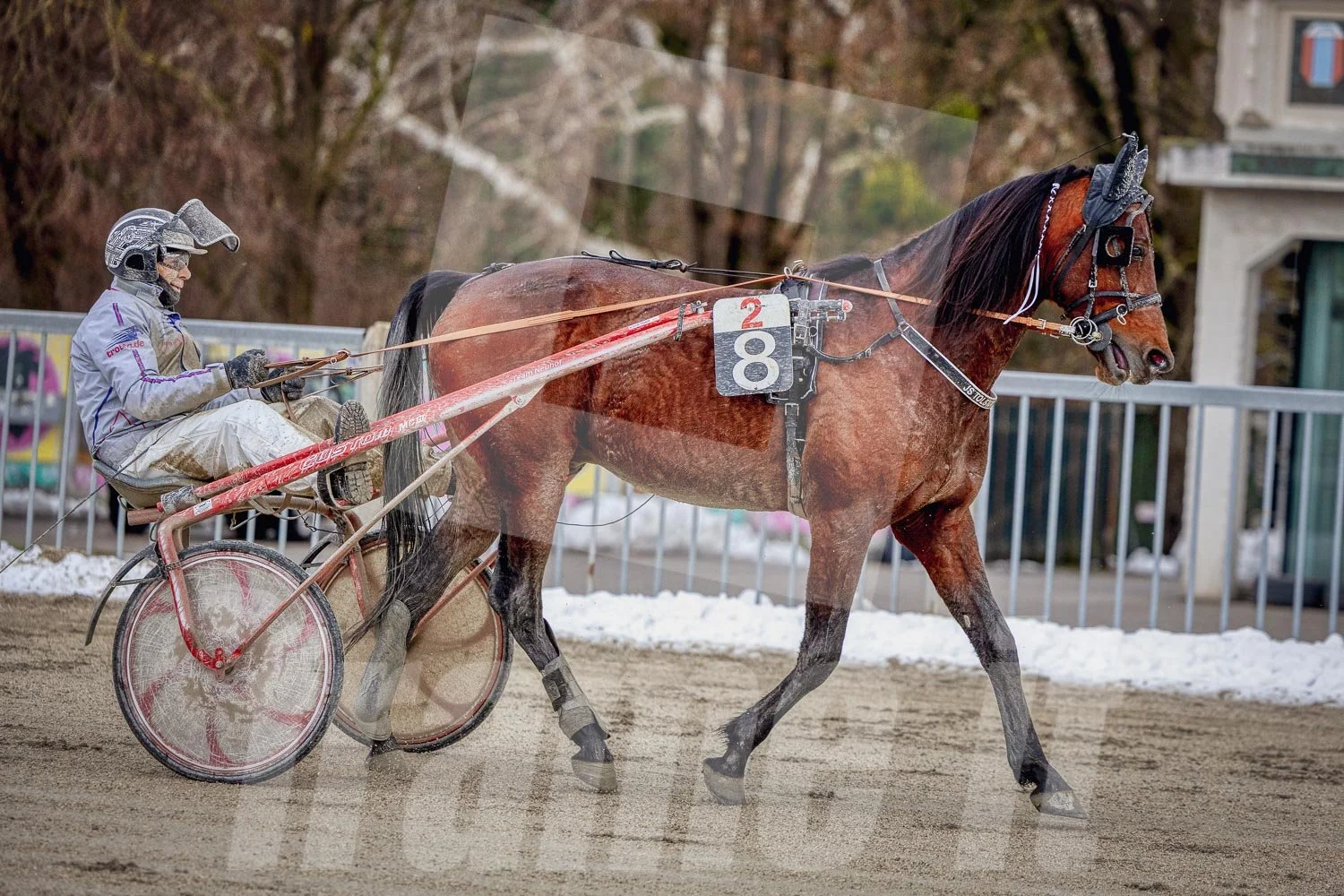 Trabrennpark Krieau in Wien mit Trabrennpferd und Fahrer.