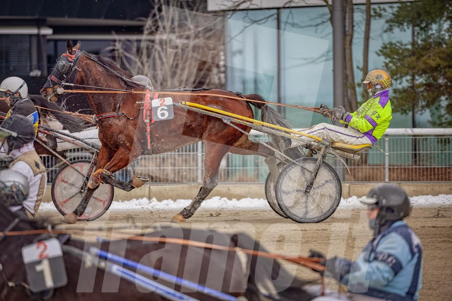 Pferderennen auf der Trabrennbahn. Im Hintergrund sind Bäume und eine moderne Gebäudefassade sichtbar.