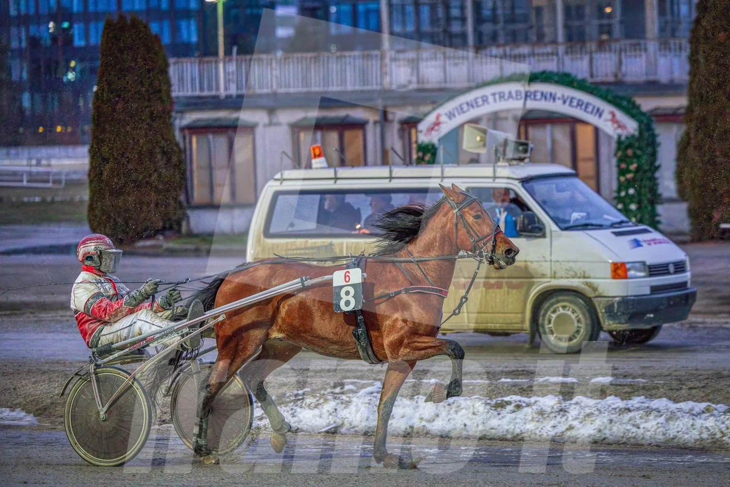 Pferderennen mit einem Rennpferd