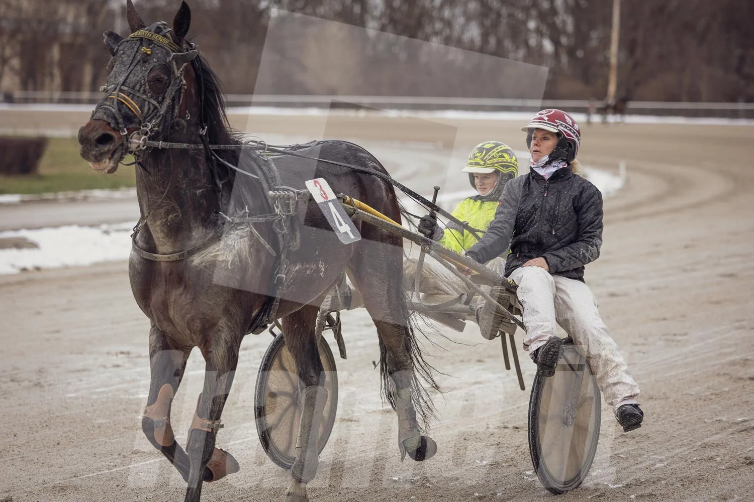 Trabrennpferd mit Trabrennfahrer auf der Pferderennbahn Wien Krieau bei winterlichen Bedingungen, im Hintergrund Bäume.