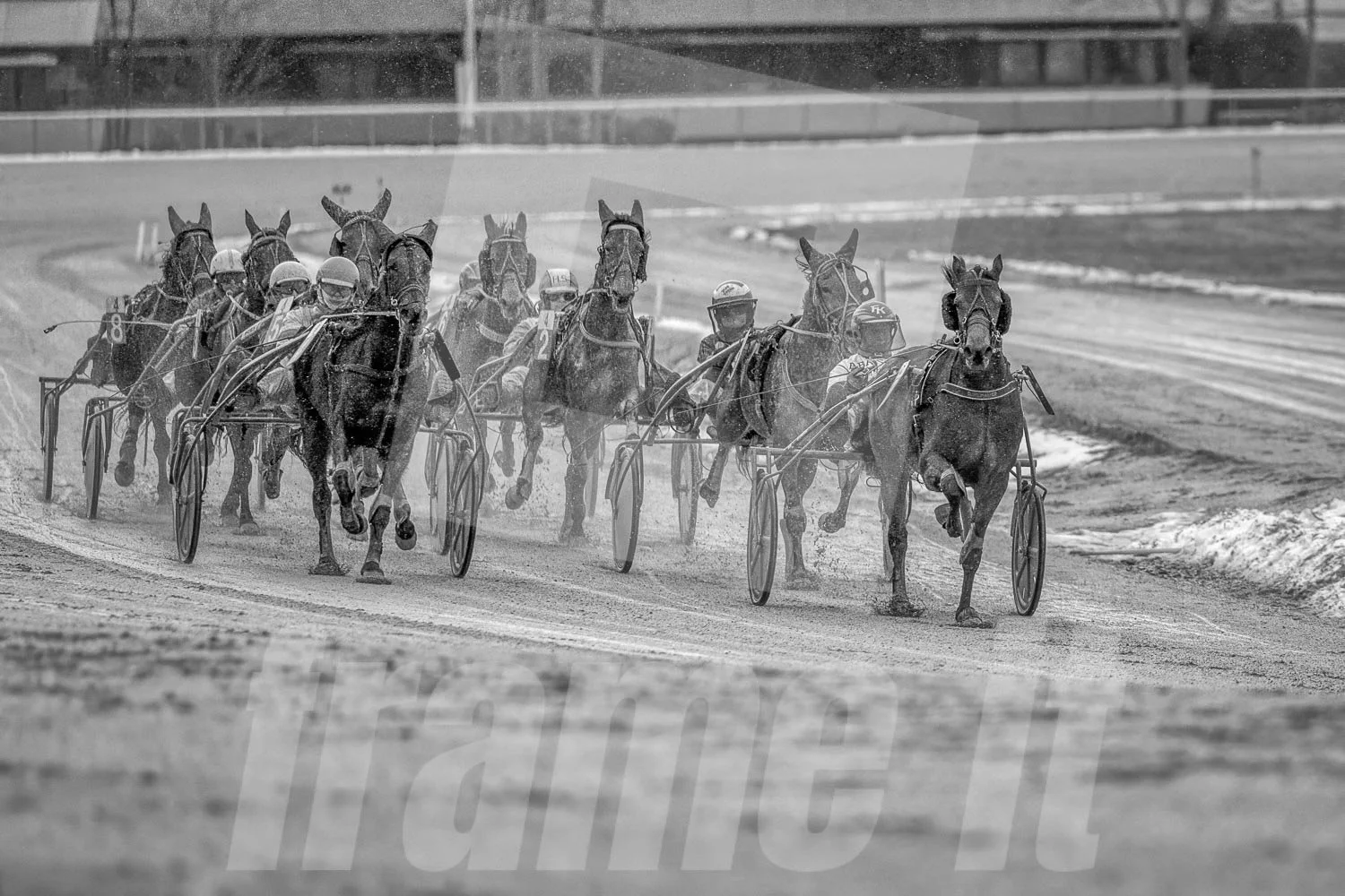 Pferderennbahn mit mehreren fahrenden Rennpferden und Trabrennfahrern bei einem Pferderennen