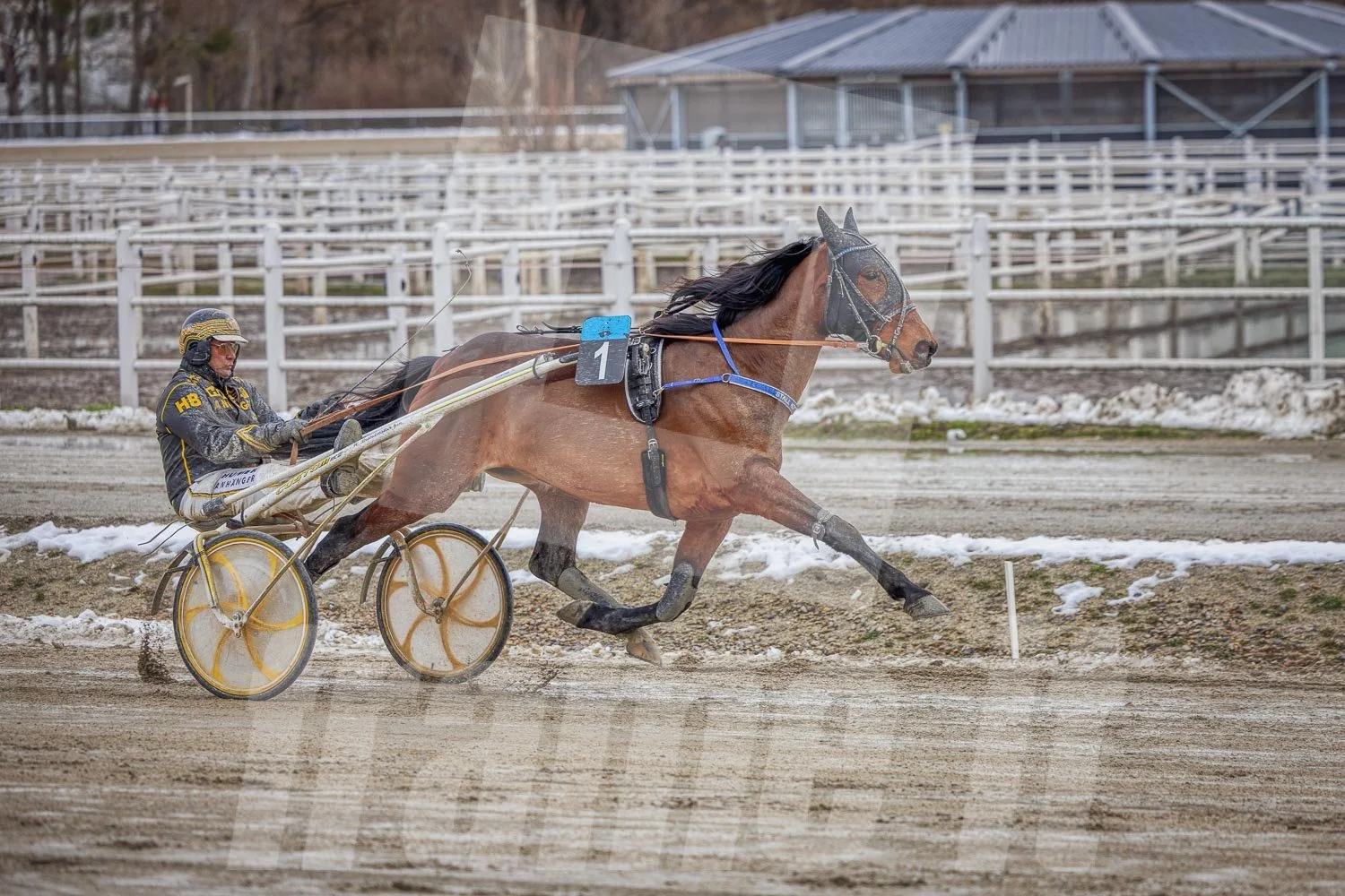 Trabrennfahrer, winterliches Wetter mit Schnee