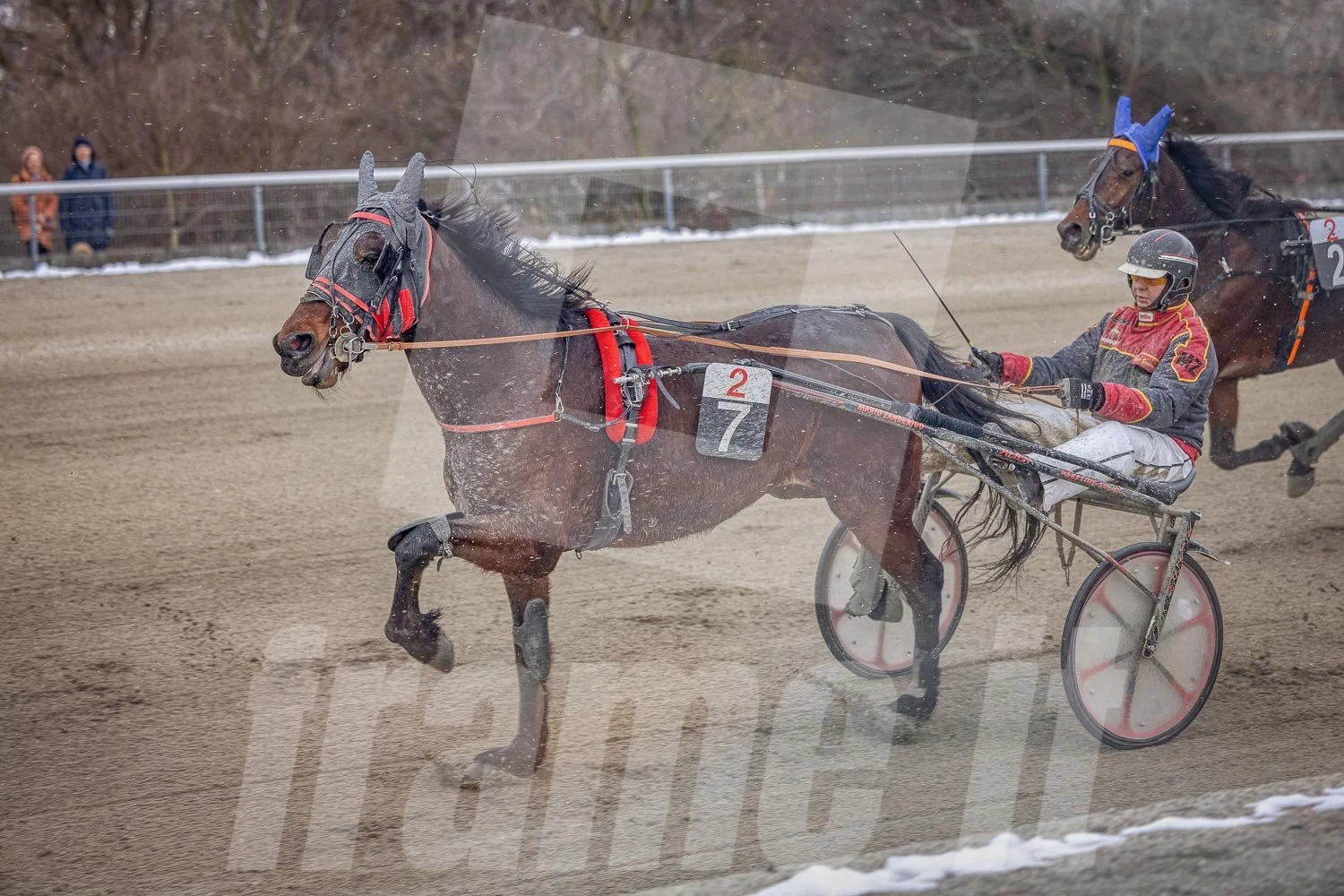 Pferderennen auf einer Rennbahn im Winter, zwei Pferde und Fahrer.