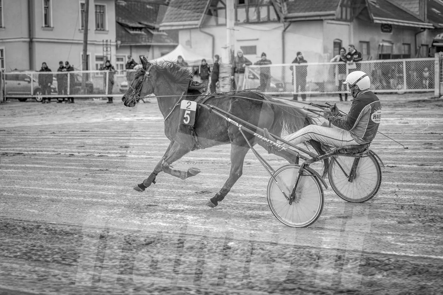 Pferderennen mit einem einspännigen Wagen auf einer Rennbahn, Fotograf in voller Fahrt, im Hintergrund Zäune und Zuschauer.
