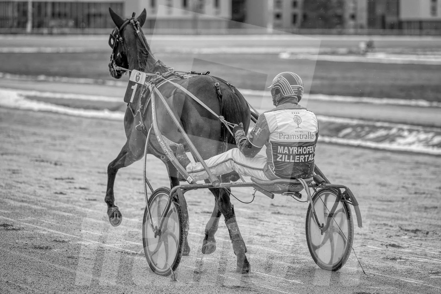 Schwarz-Weiß-Foto eines Trabrennpferdes mit einem Trabrennfahrer auf der Rennbahn vom Trabrennpark Krieau in Wien.