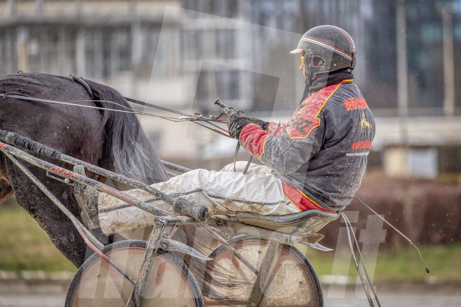 Trabrennpferd mit Trabrennfahrer auf der Pferderennbahn Wien Krieau bei winterlichen Bedingungen.