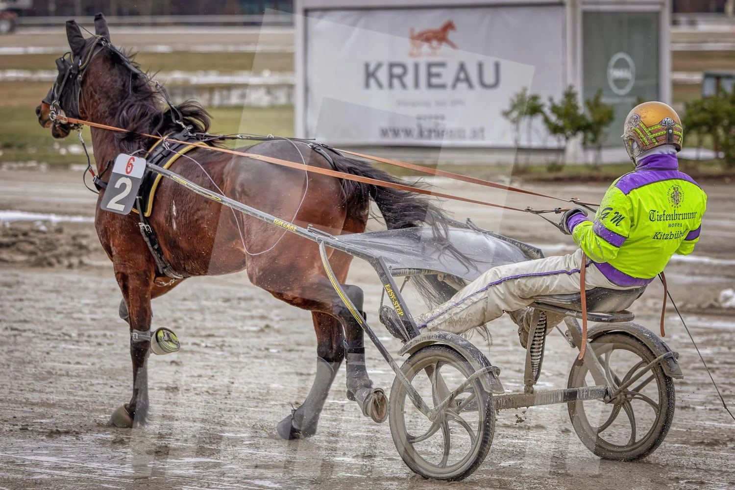 Trabrennpferd mit Trabrennfahrer Gerhard Mayr auf der Pferderennbahn Wien Krieau bei winterlichen Bedingungen.