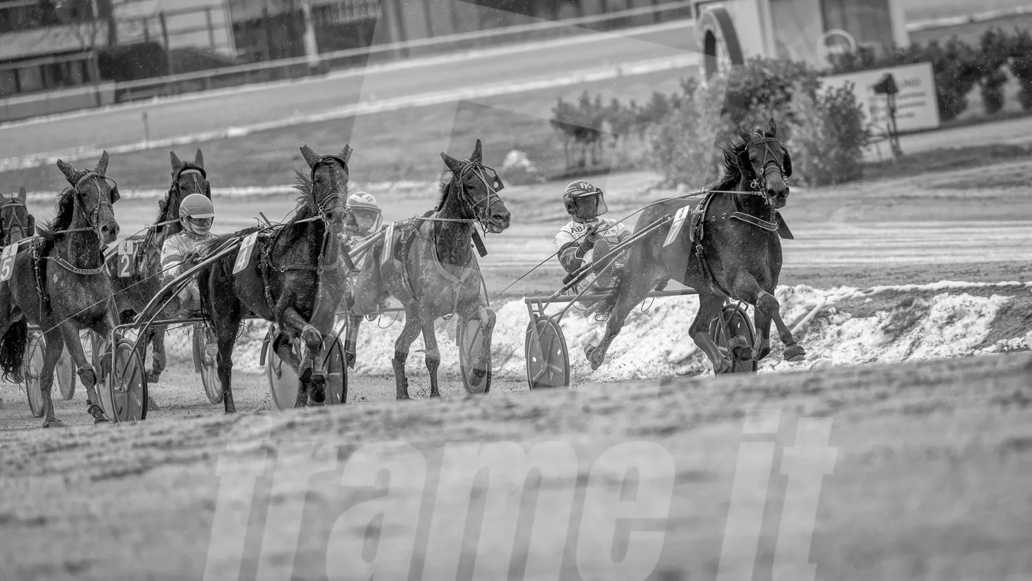 Schwarz-weiss Foto eines Trabrennpferdes, mit einem Trabrennfahrer auf der Trabrennbahn in der Wiener Krieau.