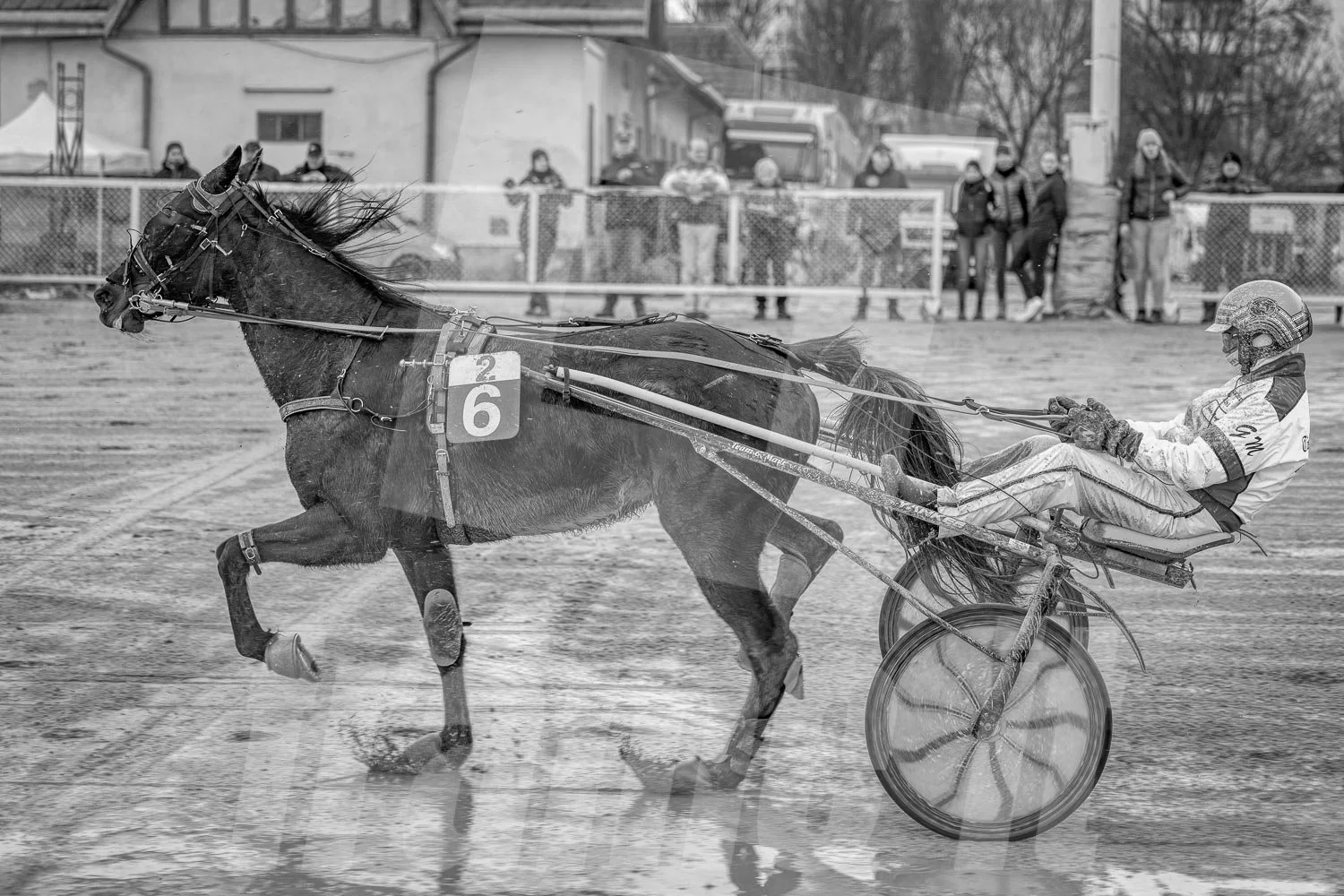 Pferderennen mit einem Trabrennpferd mit Fahrer in Rennkleidung, auf einem Sandkurs. Zuschauer im Hintergrund, einige hinter einem Zaun, bei winterlichem Wetter.