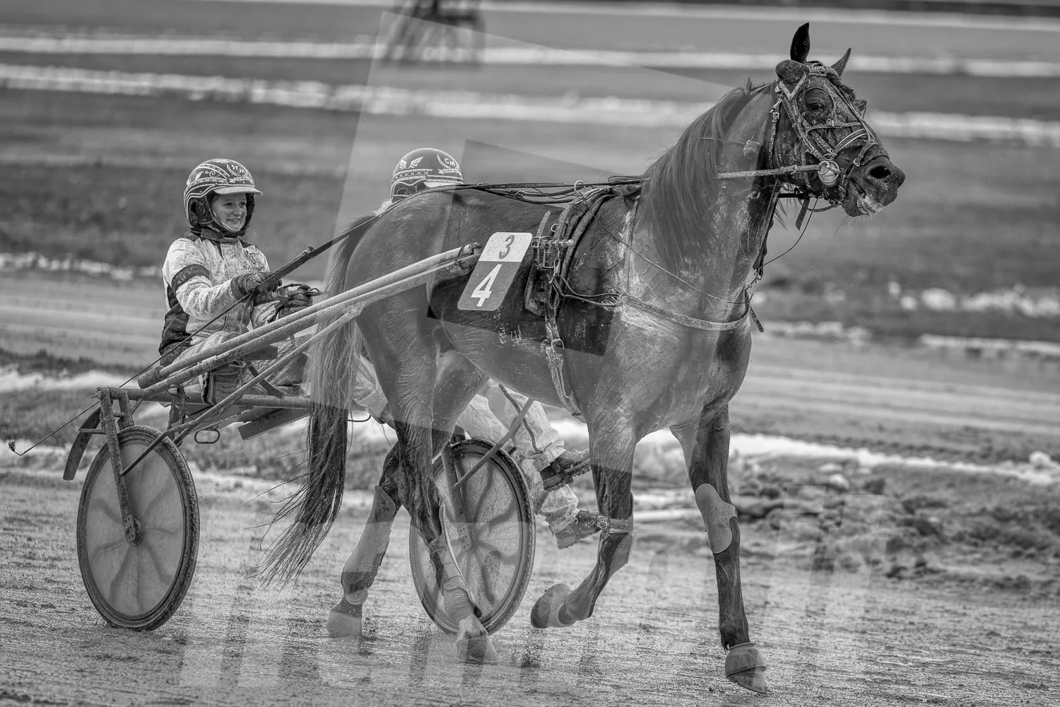 Schwarz-weiss Foto eines Trabrennpferdes, mit einem Trabrennfahrer auf der Trabrennbahn in der Wiener Krieau.