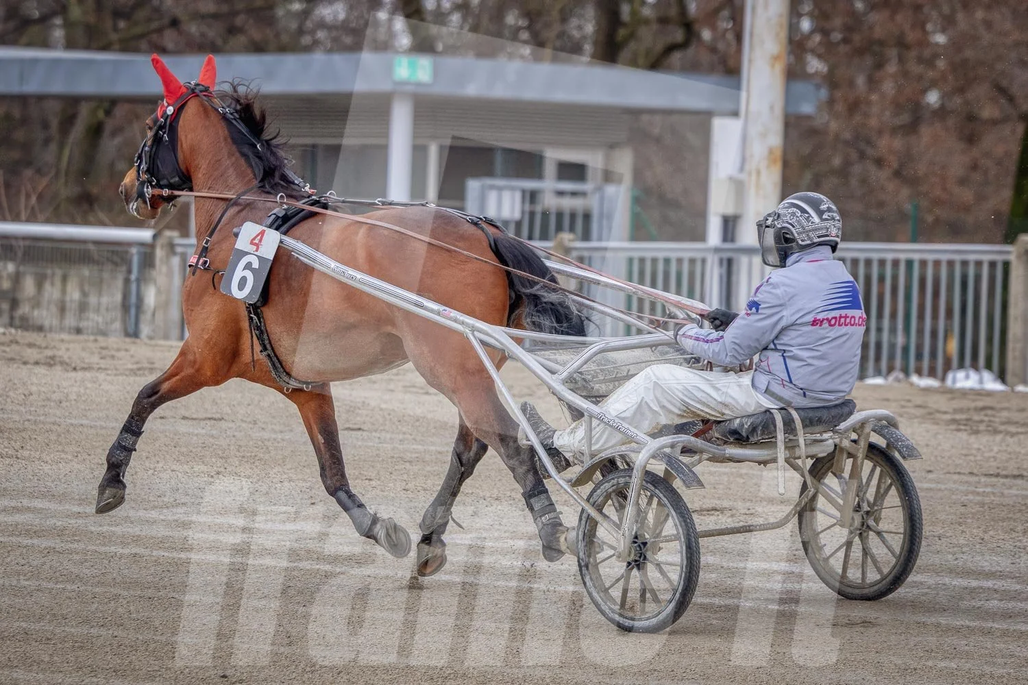 Trabrennpark Wien Krieau mit Trabrennpferd und Tribüne im Hintergrund.