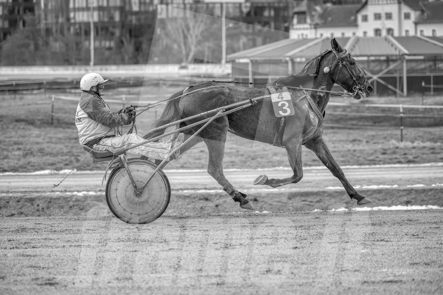 Ein Trabrennfahrer und ein Trabrennpferd auf der Trabrennbahn in Wien Krieau. Die Szene ist schwarz-weiß.