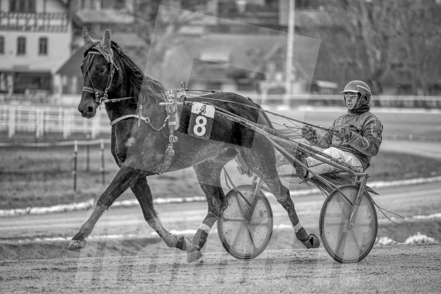 Schwarz-weiss Foto eines Trabrennpferdes, mit einem Trabrennfahrer auf der Trabrennbahn in der Wiener Krieau.