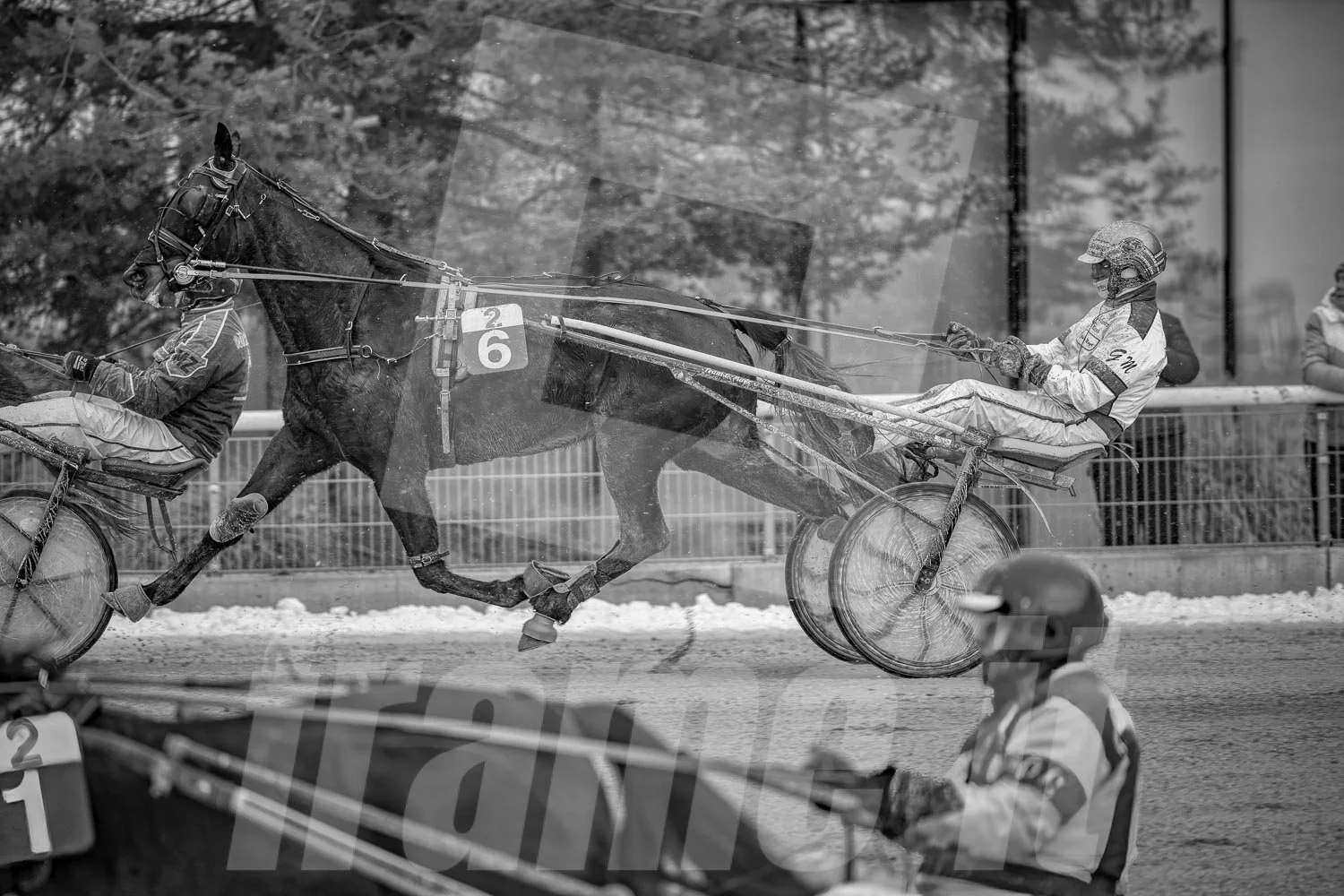 Ein Schwarz-Weiß-Foto eines Pferderennens mit zwei Trabrennfahrern. Im Hintergrund sind Bäume und eine Menschenmenge zu sehen.