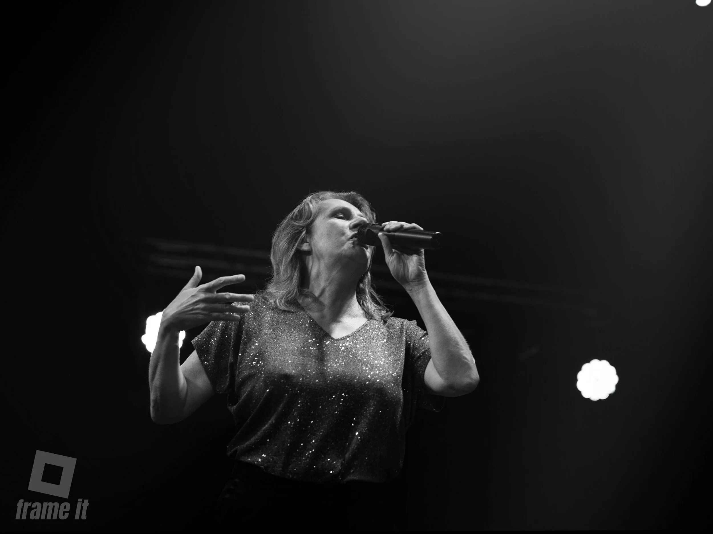 Konzertfoto von Birgit Denk im Wiener Metropol bei der Benefizveranstaltung Musical Mamis & Papis 2026