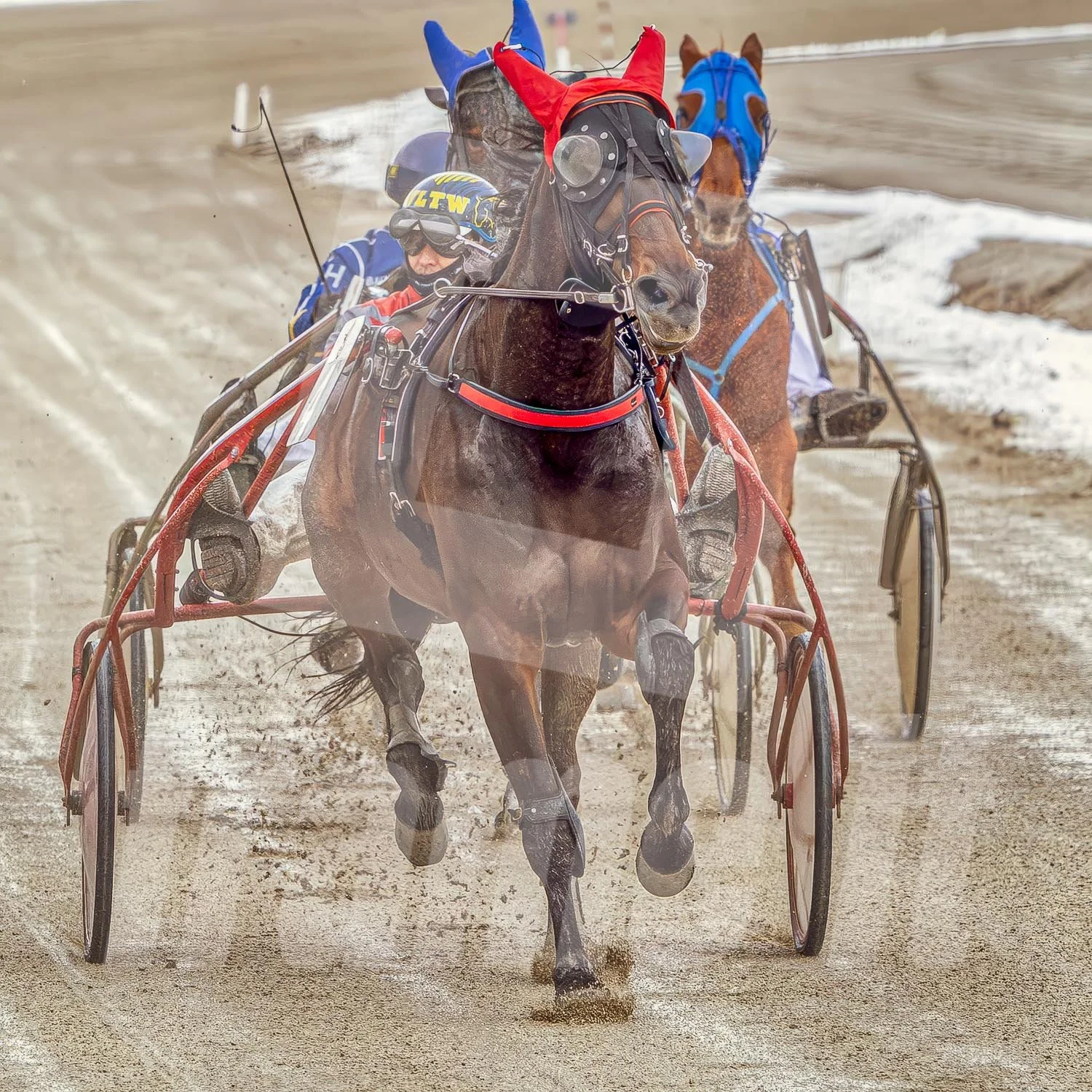 Trabrennen mit mehreren Pferden und Trabrennfahrern in Action, Trabrennpark Krieau.