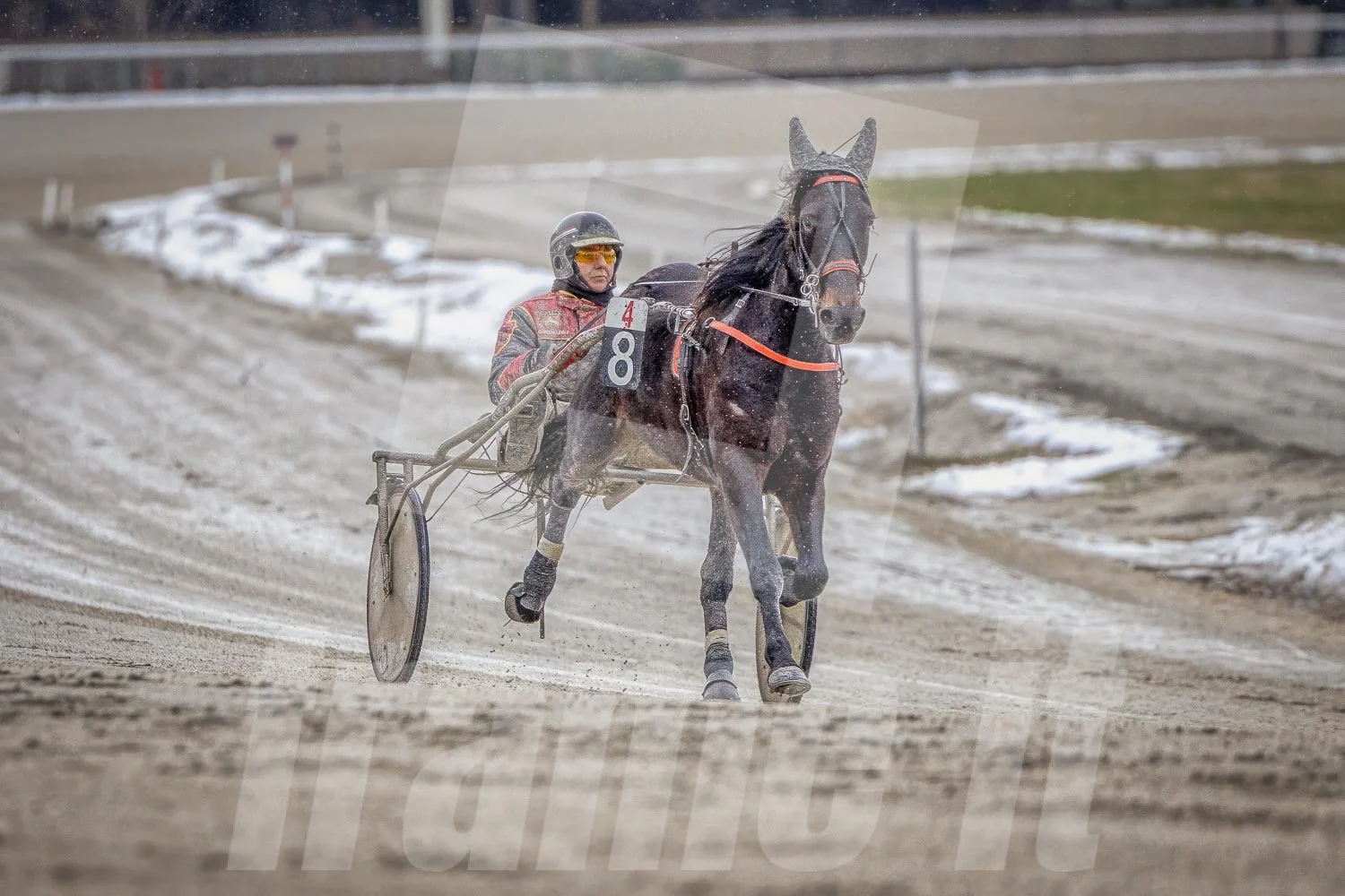 Trabrennpferd mit Trabrennfahrer auf der Pferderennbahn Wien Krieau bei winterlichen Bedingungen.